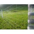 Venta de alta resistencia Galvanized Field Fence para Cabra